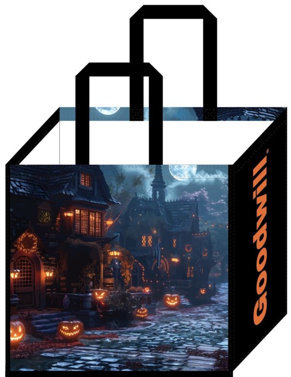 Reusable Shopping Bag